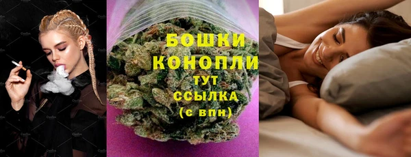 твердый Лагань