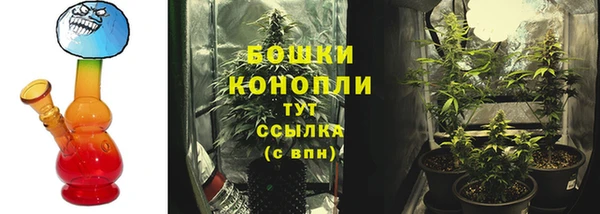 прущие грибы Орехово-Зуево