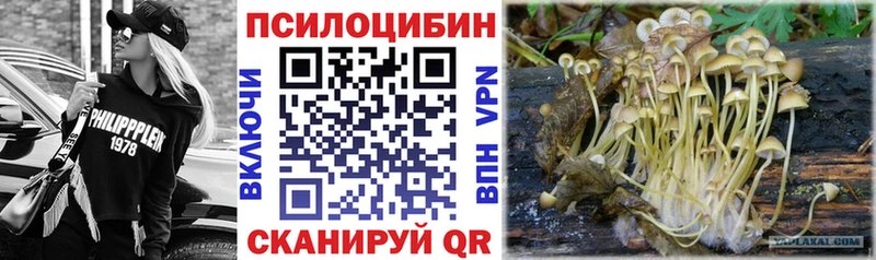 ОМГ ОМГ ONION  наркота  Городище  Псилоцибиновые грибы мицелий 
