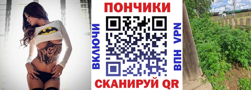 Бошки Шишки VHQ  kraken сайт  Городище 